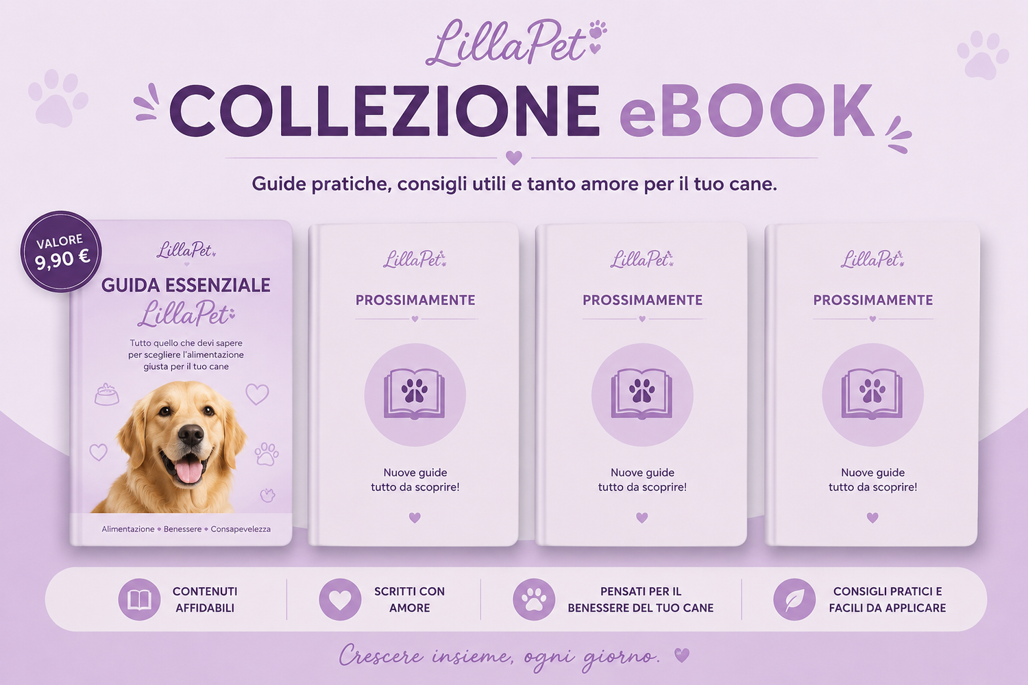 📖 Guide digitali