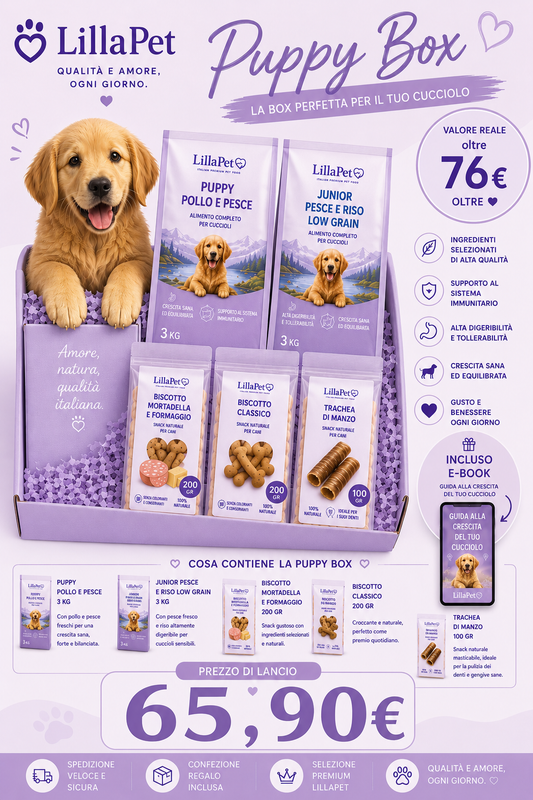 💜 LillaPet Puppy Box