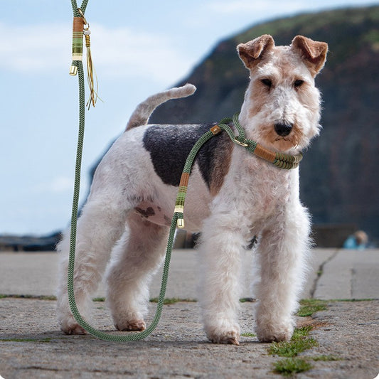 💜 SafeWalk™ – Collare con Guinzaglio di Sicurezza Integrato