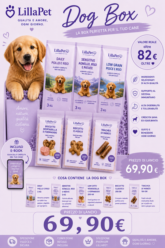 💜 Lillapet Dog Box