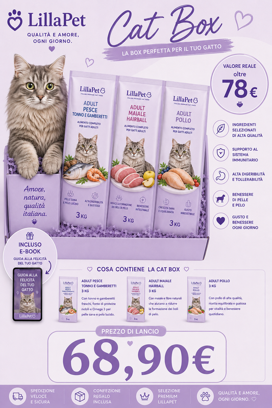 💜 Lillapet Cat Box