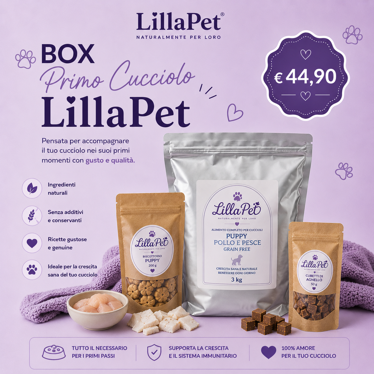 💜 Box Primo Cucciolo LillaPet